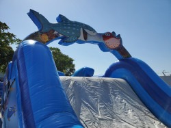 44882BCE D8FF 45F9 9EF0 7860CD369CBA 1764798397 36ft shark obstacle