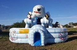 497D83DC BDD4 4D3C ACEA 7EB9A078E6DA 1765948486 Arctic plunge dual lane slide