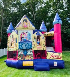 7E890B7A 52CB 45CD 911C AD3F2F86BFAF 1764667098 5-1 3-D Disney PRINCESSS COMBO 20X20