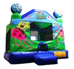 9964259E 61CD 4D3D 9E5D 758A3BD9F2C7 1764739581 13x14 SPONGE BOB