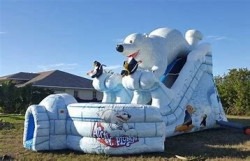 F106B7AF A451 4685 934D 0C7A98959CFD 1765948485 Arctic plunge dual lane slide