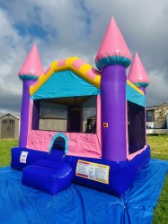 IMG 0634202 1768943696 13x14 pink purple glitter castle