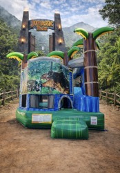 IMG 6595 1769147958 4-1 Backyard blue tropical crush slide combo