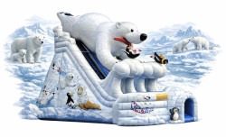 Arctic plunge dual lane slide