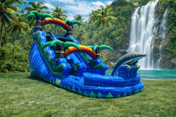 17ft Dolphin Watetslde  13f28