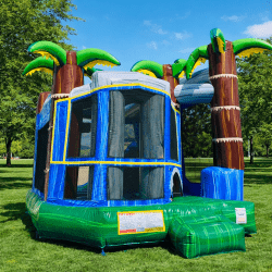 4-1 Backyard blue tropical crush slide combo