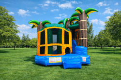 4-1 tropical breeze combo slide