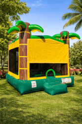 13x14 tropical bounce house