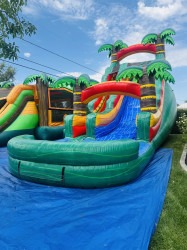 IMG 3303 1771048461 20ft tropical paradise 15x32