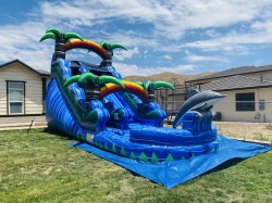 IMG 4207 1771047238 17ft Dolphin Watetslde 13f28