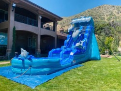 Image20122 1770881057 21FT' DOLPHIN splash WATER SLIDE